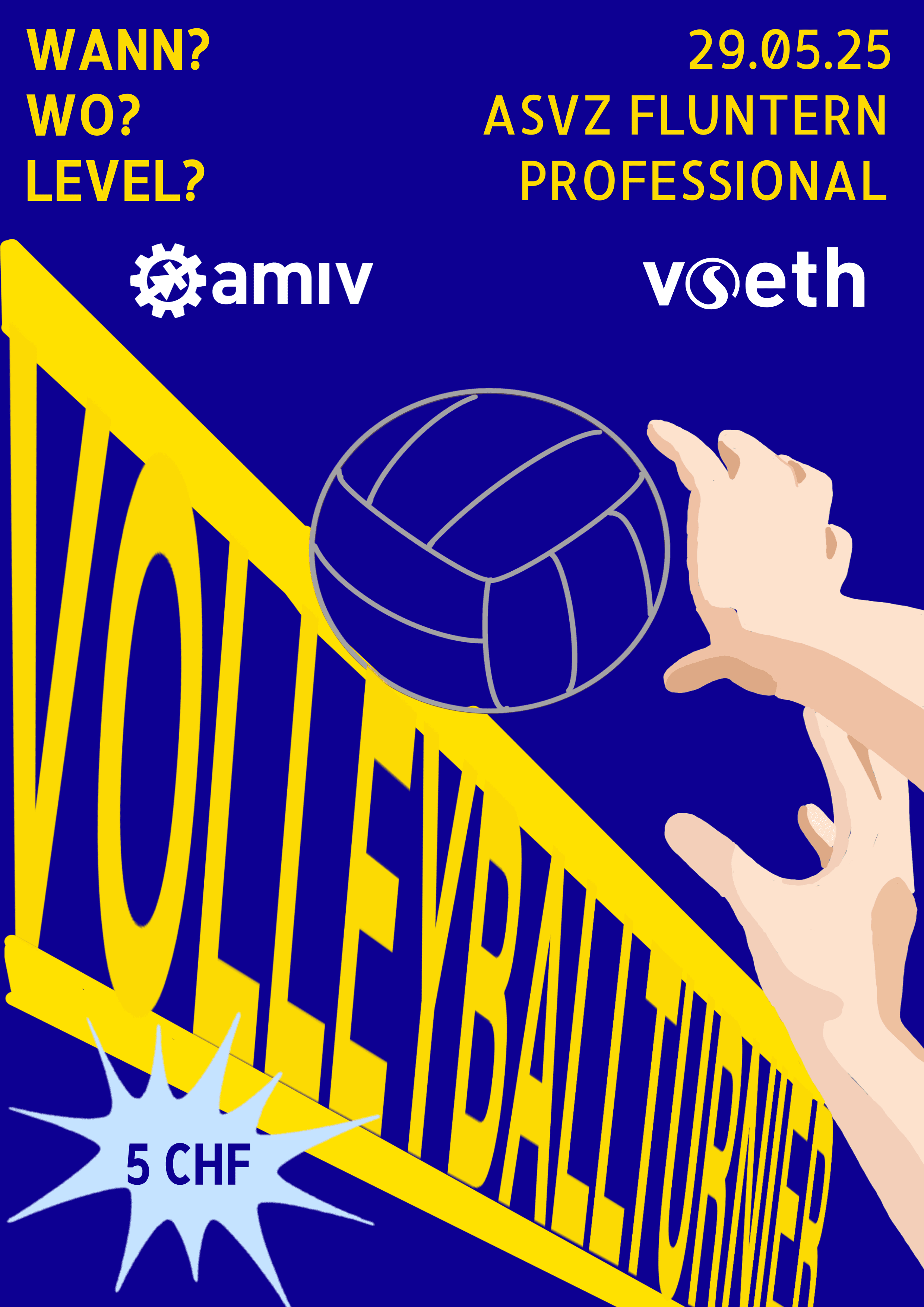 Beachvolleyball PRO