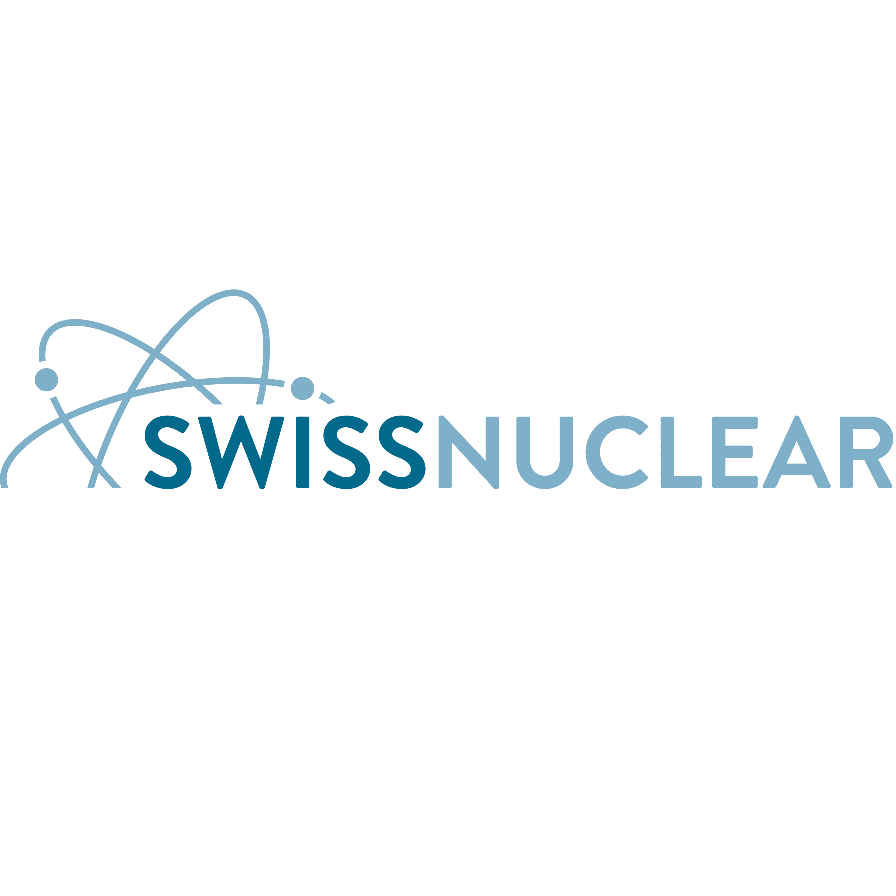 Swissnuclear Industry Perspective